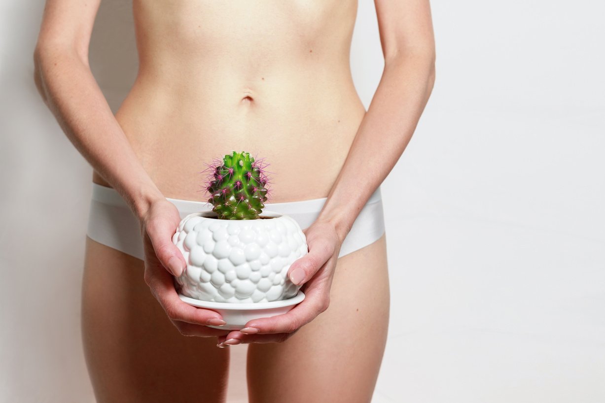 cactus of a beautiful slender female body. laser hair removal on a female body. bikini waxing